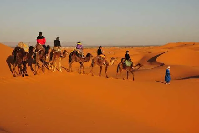 Embark on this most memorable 5 days tour from Marrakech to Merzouga desert for a unique and authentic experience.