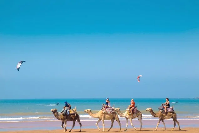 Embark on this private 8 days Atlantic coast Morocco tour to explore the best beaches of Morocco during your summer holiday.
