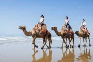 Visiting Morocco in Summer 2024 and 2025