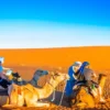 Esplorate il magnifico deserto del Sahara di Erg chebbi e trascorrete una notte in cammello con il tour da Ouarzazate a Merzouga 2 giorni