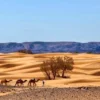 4 days desert tour from Agadir