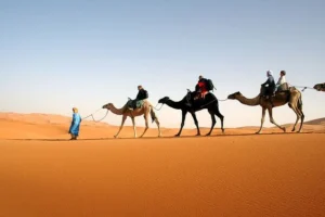 Camel trekking tours from Fes to Marrakech