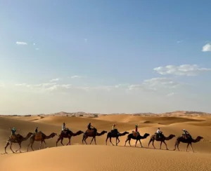 Morocco student camel trekking tours 