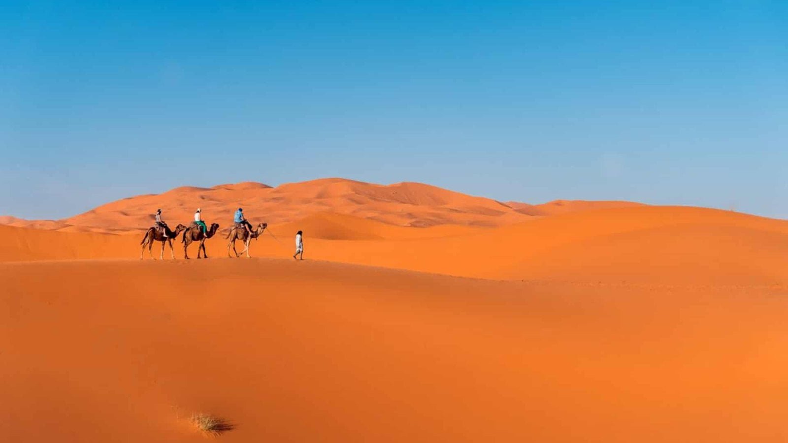 Cuál es el mejor desierto del Sáhara Marroquí