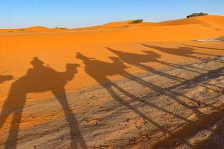 Camel Trekking in Erg Chebbi