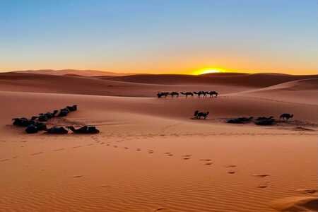 The best Things to do in Merzouga for 2024 & 2025