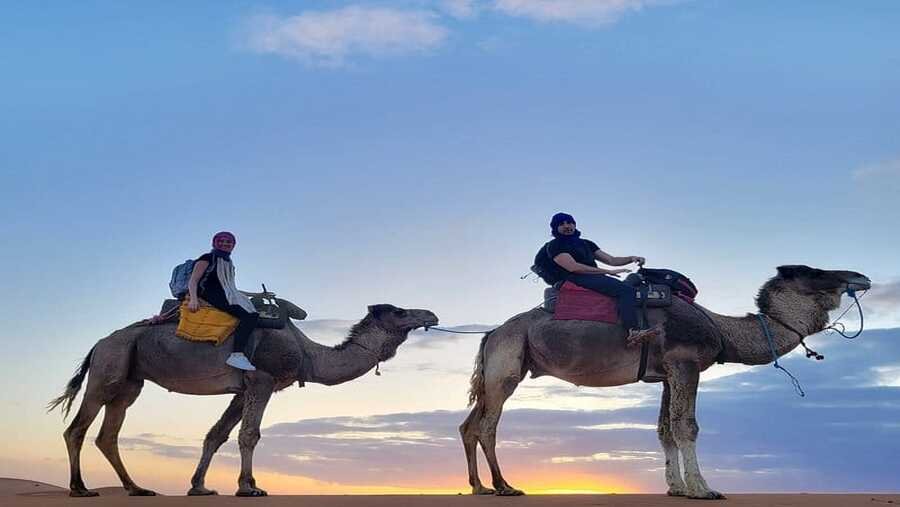 Best Things to do in Merzouga