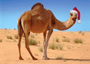 Morocco christmas and new year's eve in the Sahara desert 2024 - 2025