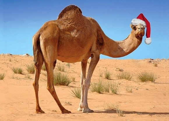 Morocco christmas and new year's eve in the Sahara desert