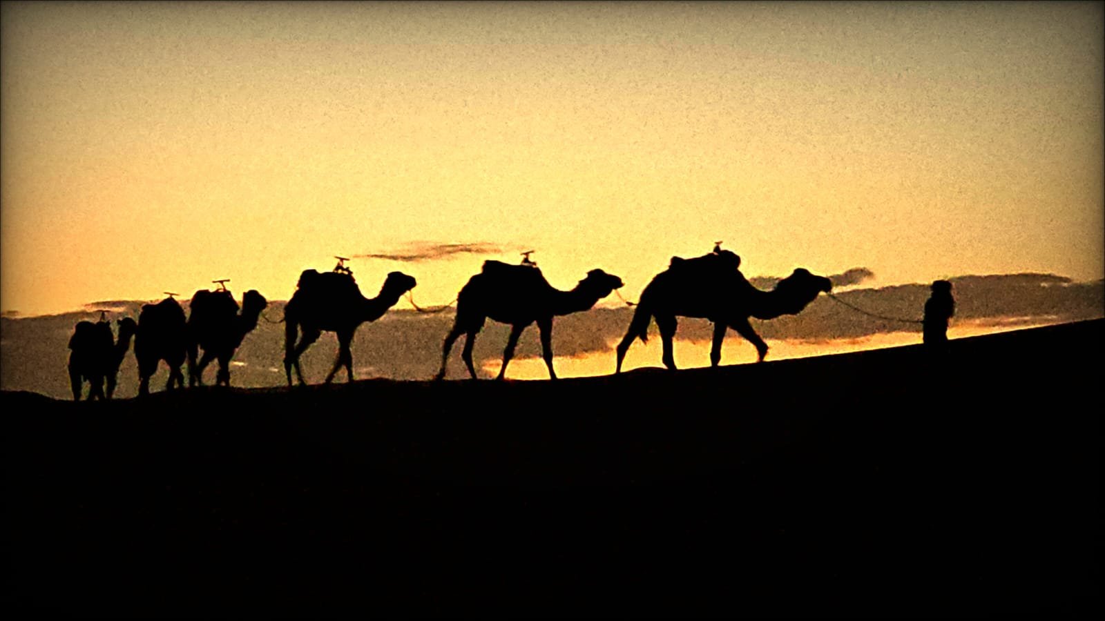 Merzouga Camel Ride A Sahara Adventure Awaits